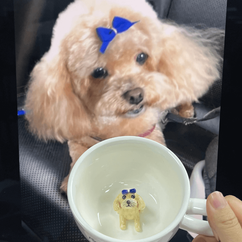 Custom Pet's Figure Ceramic Mug