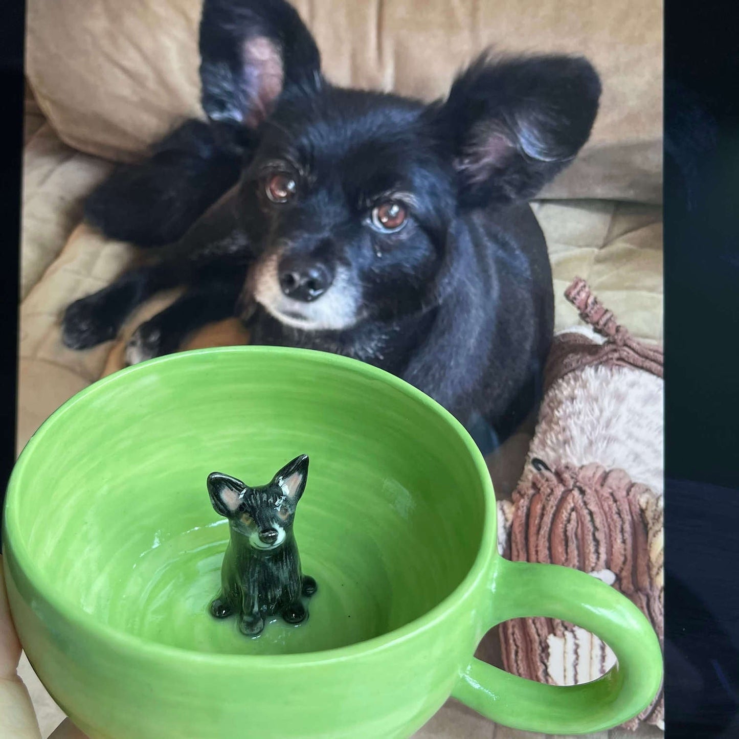 Custom Pet's Figure Ceramic Mug